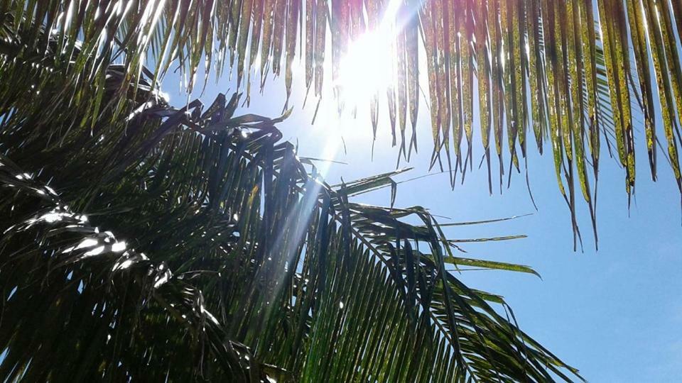 Vacation Beach Fales Hotel Manase Exterior foto